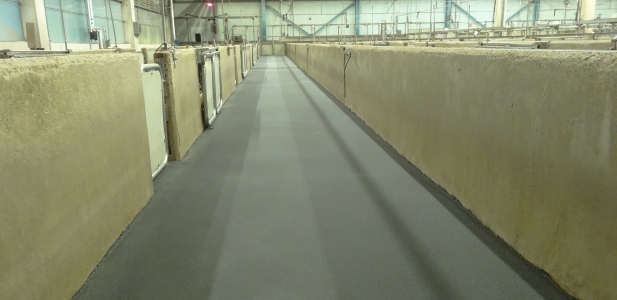 Special flooring for a pig slaughterhouse, Burgos, Spain, from an important food multinational Co.